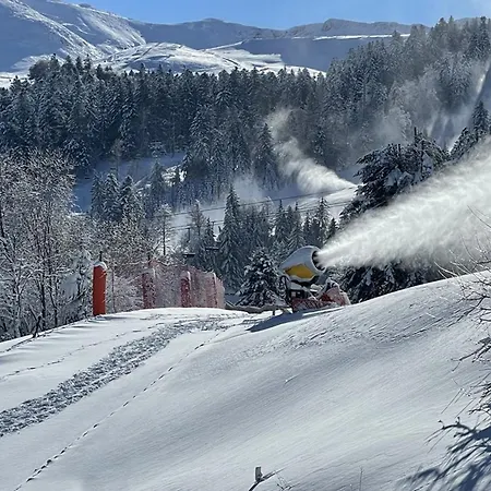 Charmant Studio Avec Balcon, Au Pied Des Pistes Et Commerces A - Fr-1-787-44 Lejlighed Laveissière